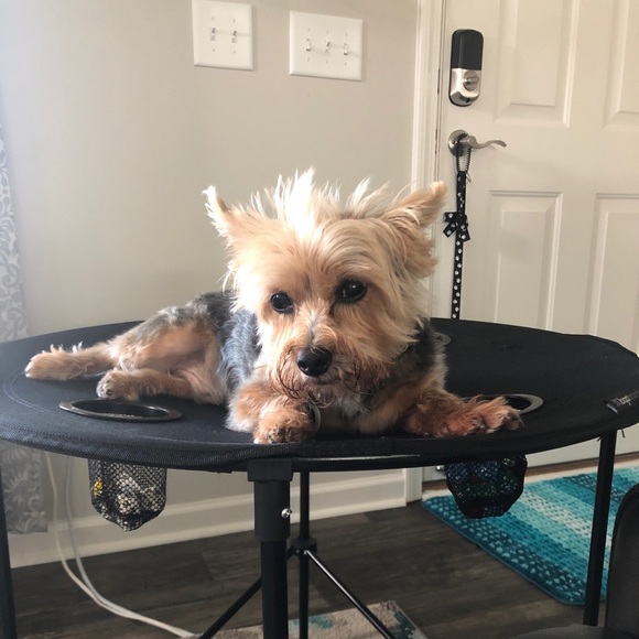 Meet your Posher, April - Picture 1 of 1